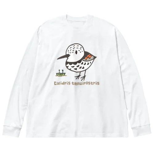 鷸千百景　オバシギ（大判） ビッグシルエットロングスリーブTシャツ