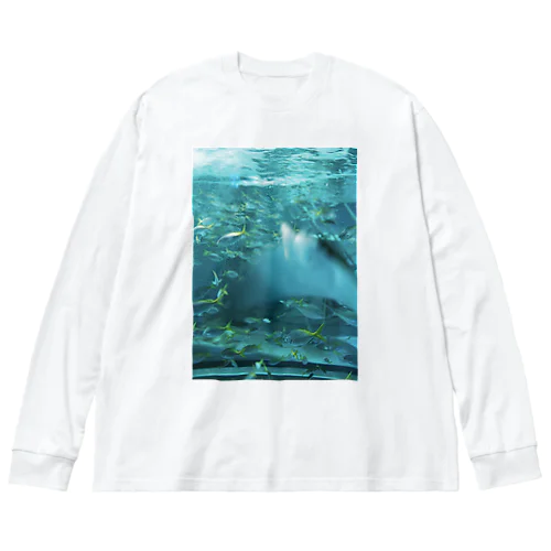 水槽の中 Big Long Sleeve T-Shirt