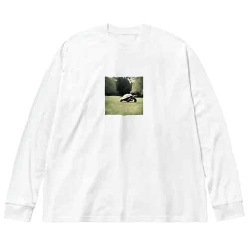 ４、カメのお散歩 Big Long Sleeve T-Shirt