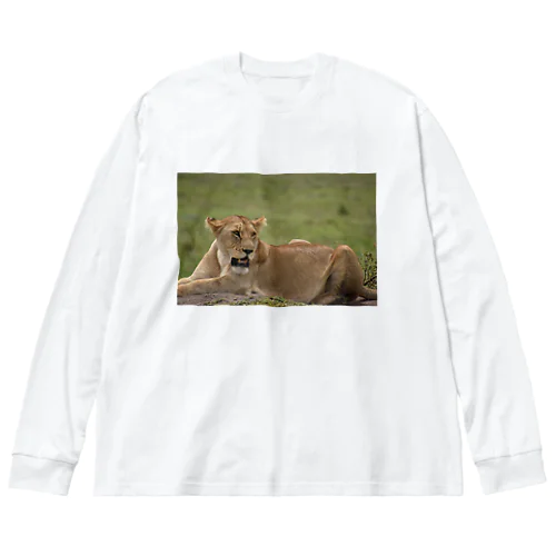 サバンナのメスライオン Big Long Sleeve T-Shirt