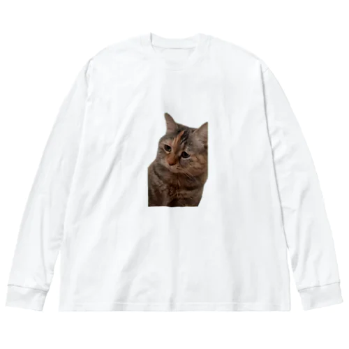 【猫ミーム】叱られる猫 ビッグシルエットロングスリーブTシャツ