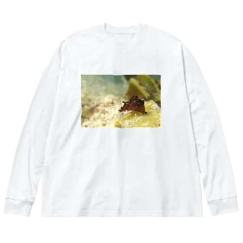 海中写真　クロヘリアメフラシ ビッグシルエットロングスリーブTシャツ