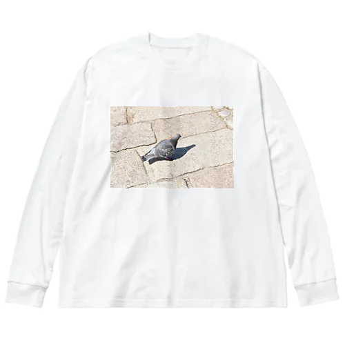 自分の影を見つめる鳩 Big Long Sleeve T-Shirt