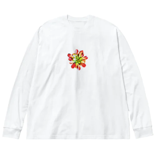 Succulents series アエオニウム ビッグシルエットロングスリーブTシャツ