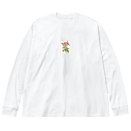 ピエール＝ジョゼフ・ルドゥーテ「Rosa centifolia foliacea」 Big Long Sleeve T-Shirt