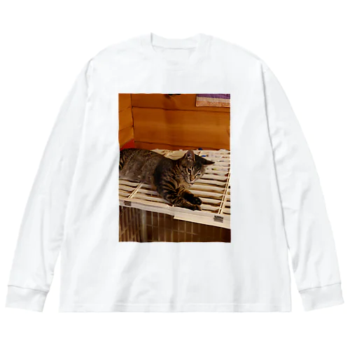 だらーんにゃんこの写真 Big Long Sleeve T-Shirt