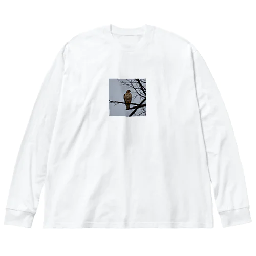 天候の変化に備えるタカ Big Long Sleeve T-Shirt