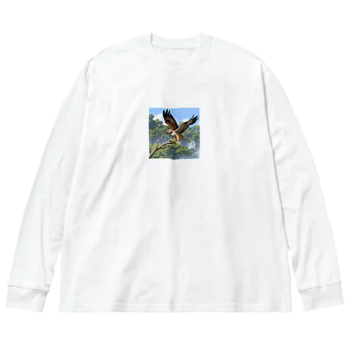 空中でバランスを保っているタカ Big Long Sleeve T-Shirt