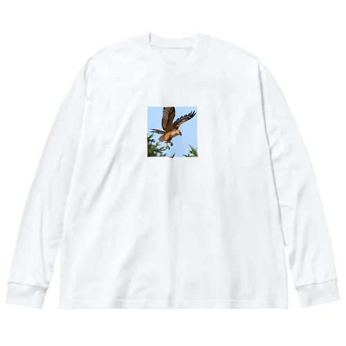 鳥の羽ばたきに続く鷹 Big Long Sleeve T-Shirt