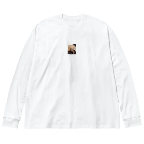 キョトンなフェレット Big Long Sleeve T-Shirt