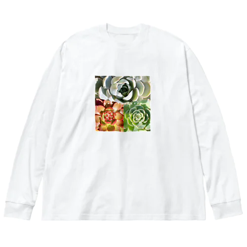 多肉植物3色 ビッグシルエットロングスリーブTシャツ