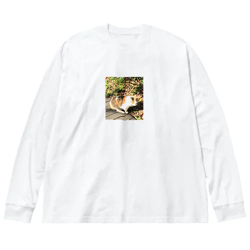 猫2 Big Long Sleeve T-Shirt