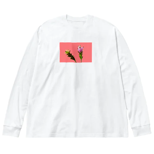 Curcuma alismatifolia -pink ビッグシルエットロングスリーブTシャツ