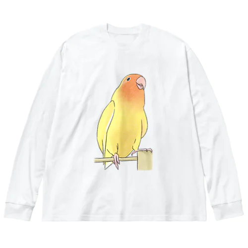 得意げ可愛い　コザクラインコちゃん【まめるりはことり】 Big Long Sleeve T-Shirt