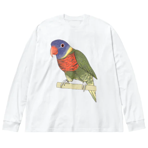 色合いが綺麗なゴシキセイガイインコちゃん【まめるりはことり】 Big Long Sleeve T-Shirt