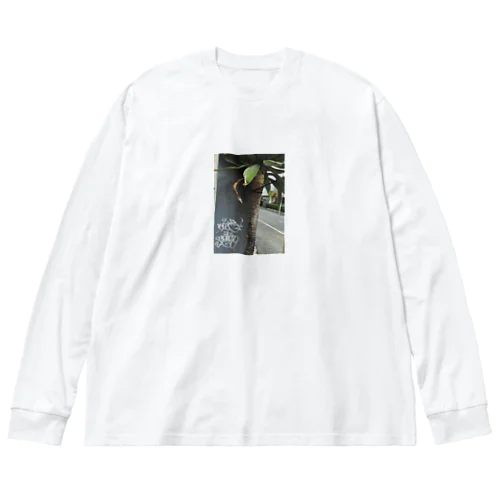 street green Big Long Sleeve T-Shirt