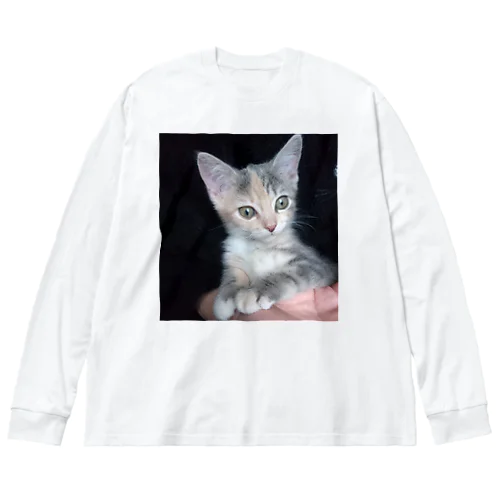 alice01 Big Long Sleeve T-Shirt