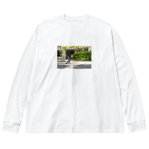 Lv99の鳩 Big Long Sleeve T-Shirt