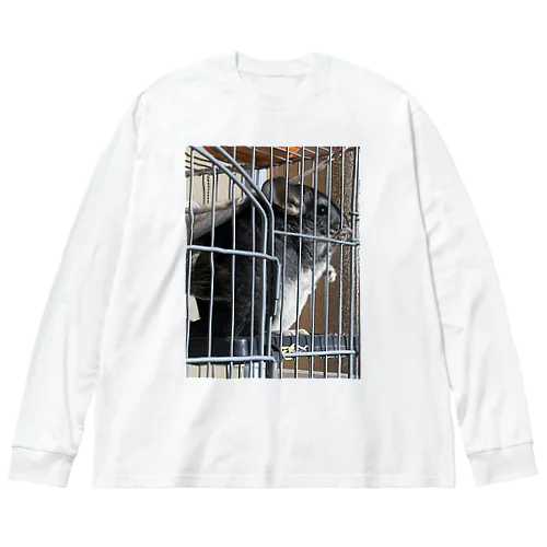 ジル脱走目論み Big Long Sleeve T-Shirt