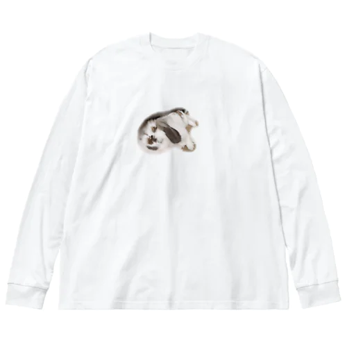 我が家のくぅちゃん② Big Long Sleeve T-Shirt