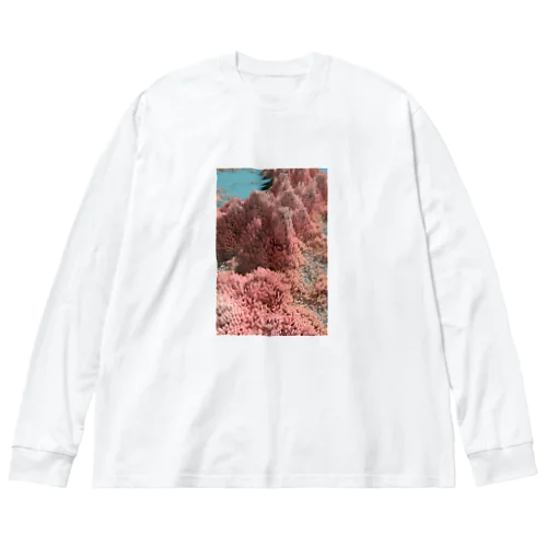 クリプトガム Big Long Sleeve T-Shirt