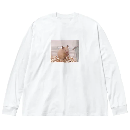 アパレルキンタ Big Long Sleeve T-Shirt