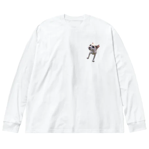 憐れネコミニ Big Long Sleeve T-Shirt