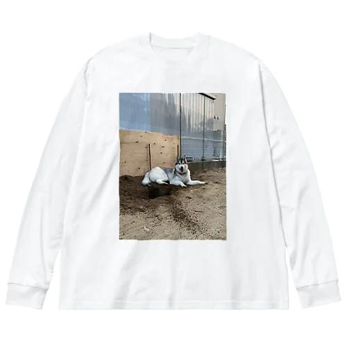 庭に穴を掘ったこてつ Big Long Sleeve T-Shirt