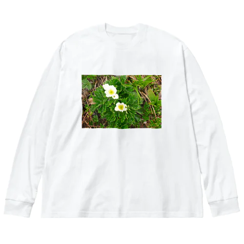 植物図鑑 ハクサンイチゲ② ビッグシルエットロングスリーブTシャツ