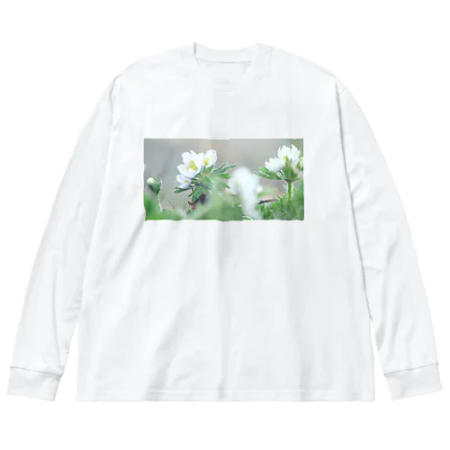 植物図鑑 ハクサンイチゲ② ビッグシルエットロングスリーブTシャツ