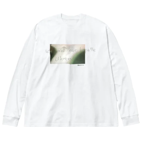 Plane_DE Big Long Sleeve T-Shirt