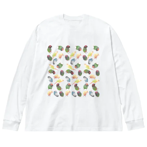 たっぷりウロコインコちゃん【まめるりはことり】 ビッグシルエットロングスリーブTシャツ