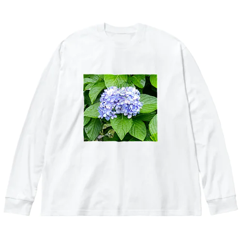 季節外れのアジサイ Big Long Sleeve T-Shirt