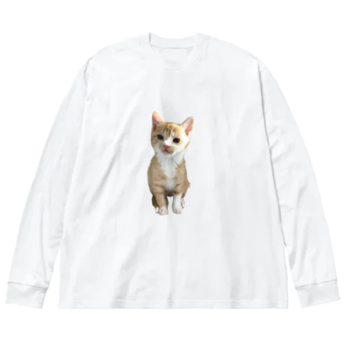 我が家のにゃんこ〜ルーンくん〜 ビッグシルエットロングスリーブTシャツ