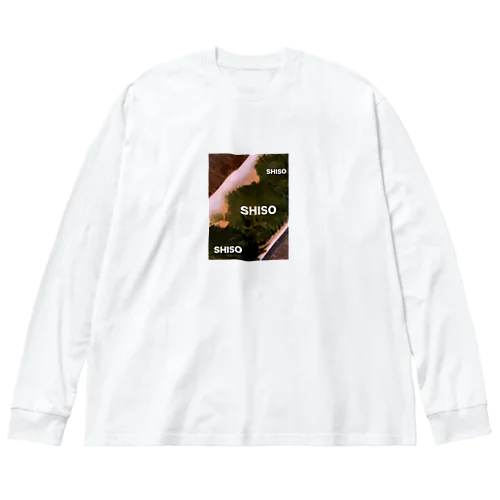 SHISO ビッグシルエットロングスリーブTシャツ