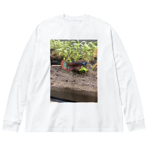 オレん家の魚〜ワイルドベタインベリスブルー編〜 Big Long Sleeve T-Shirt