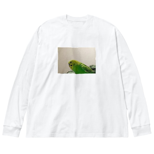 テスト商品 Big Long Sleeve T-Shirt