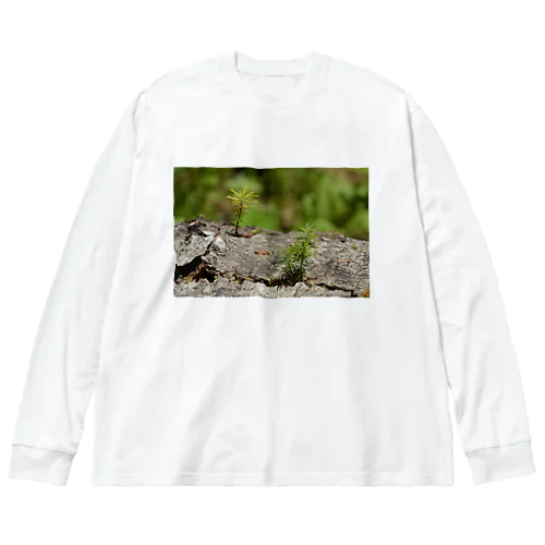 北海道津別町の自然 Big Long Sleeve T-Shirt