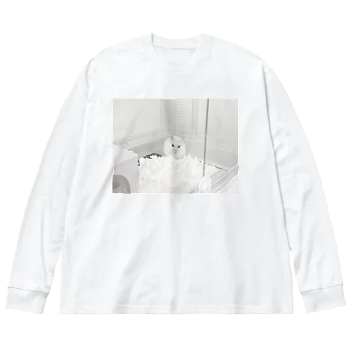 うちのハムを愛でてくれ Big Long Sleeve T-Shirt