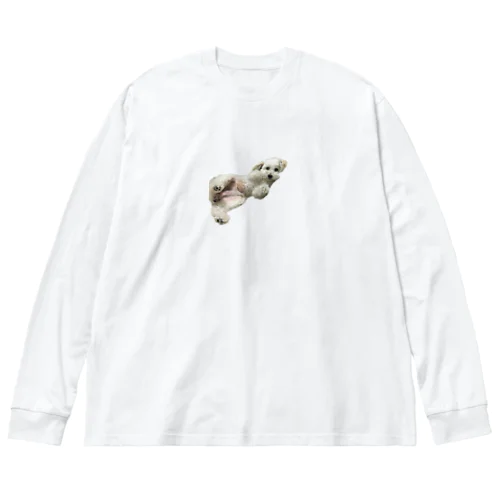 nuts___bon  Big Long Sleeve T-Shirt