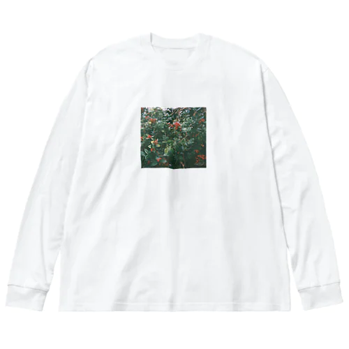 赤い実 Big Long Sleeve T-Shirt