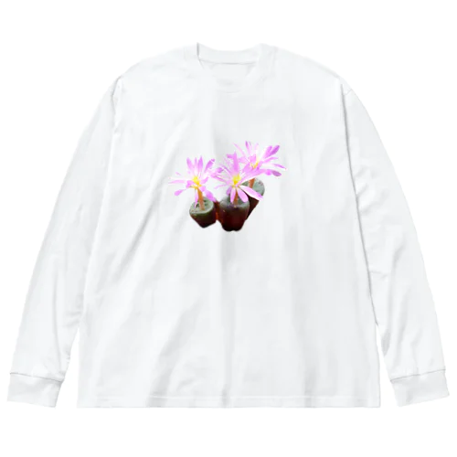 可憐な花 コノフィツム バリエンス 多肉植物 ビッグシルエットロングスリーブTシャツ