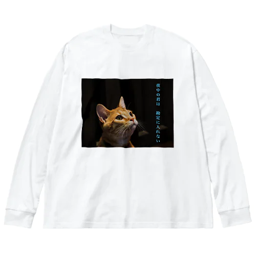 夜中の君は　勘定に入れない Big Long Sleeve T-Shirt