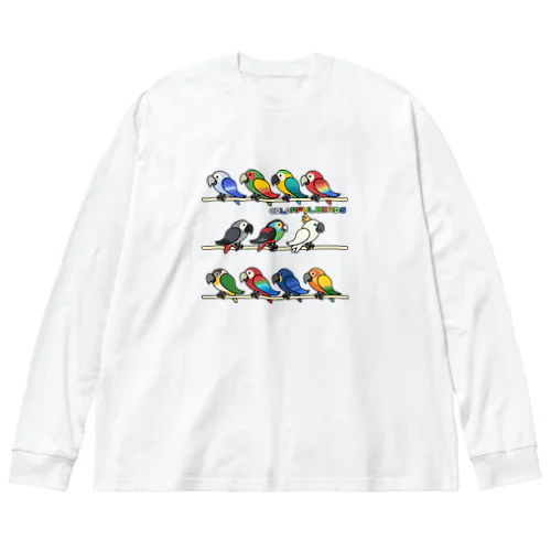 COLORFUL BIRDS Big Long Sleeve T-Shirt