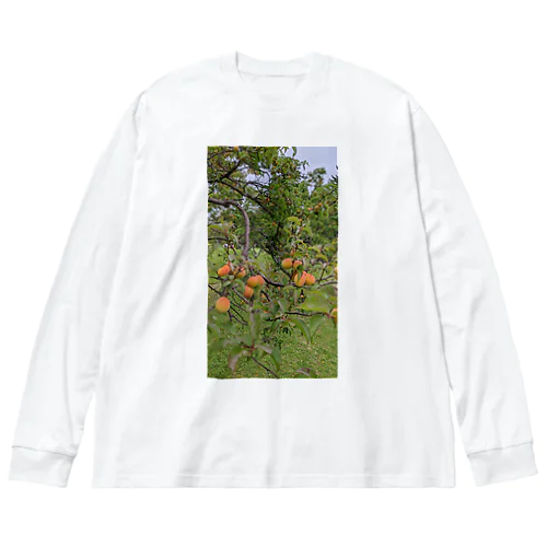 梅柄 Big Long Sleeve T-Shirt