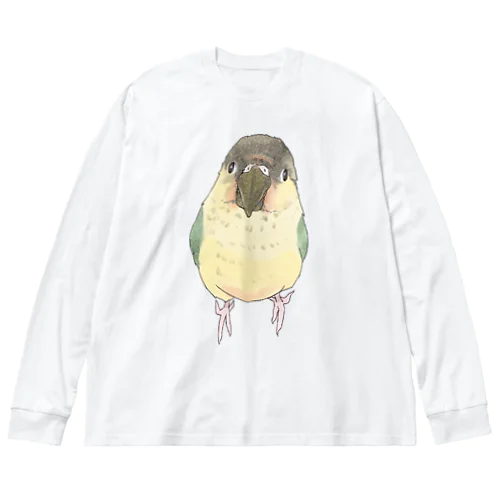 可愛いウロコメキシコインコちゃん【まめるりはことり】 ビッグシルエットロングスリーブTシャツ