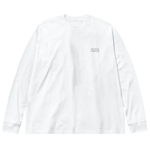 New York T-shirt  Big Long Sleeve T-Shirt