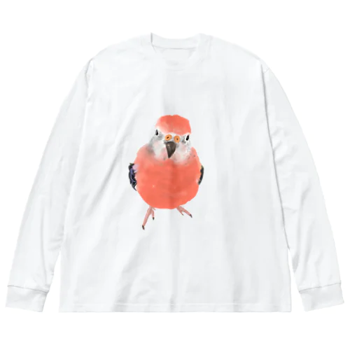 アキクサインコ Big Long Sleeve T-Shirt