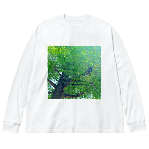 フォトデザイン(梅雨が明けて) Big Long Sleeve T-Shirt