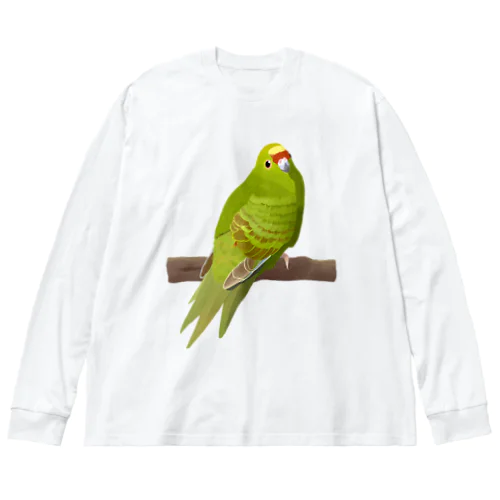 キガシラアオハシインコ(前面プリント) ビッグシルエットロングスリーブTシャツ